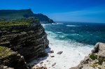 Botanical-Cape Point-Penguins-24