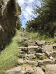 IMG_6549